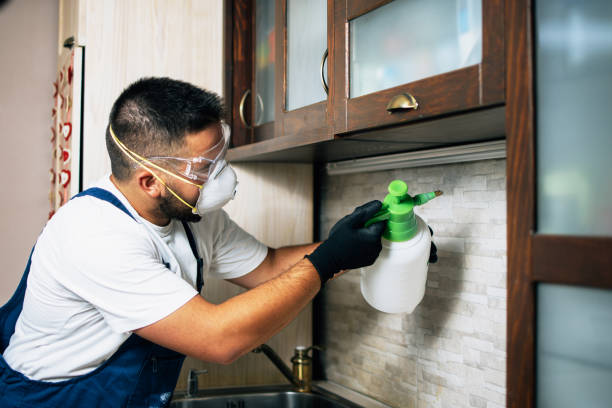 Best Flea Control Services  in Gretna, VA