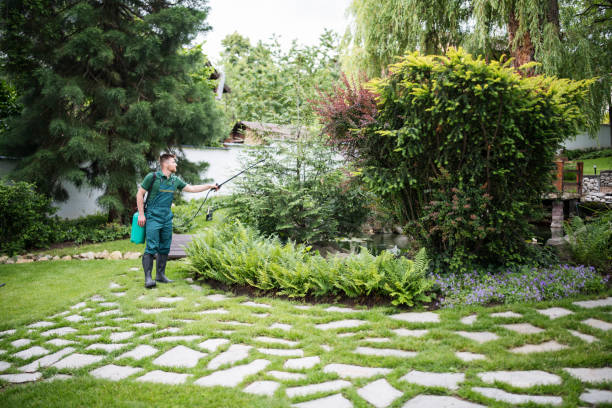 Best Affordable Pest Control Services  in Gretna, VA