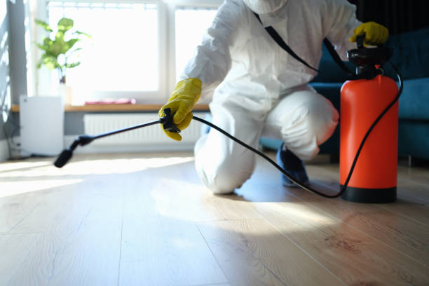 Best Flea Control Services  in Gretna, VA