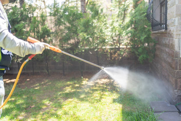 Insect Control in Gretna, VA