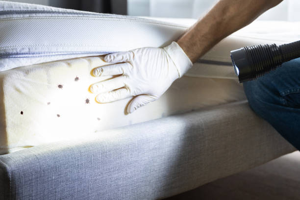 Best Pest Inspection Near Me  in Gretna, VA